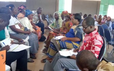 Atelier de Formation / Sensibilisation sur les enjeux socio-économiques, culturels et la contribution des collectivités territoriales en cas de crise sociale