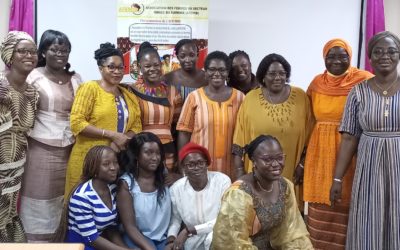 ASSEMBLEE GENERALE ORDINAIRE DE L’AFEMIB  –