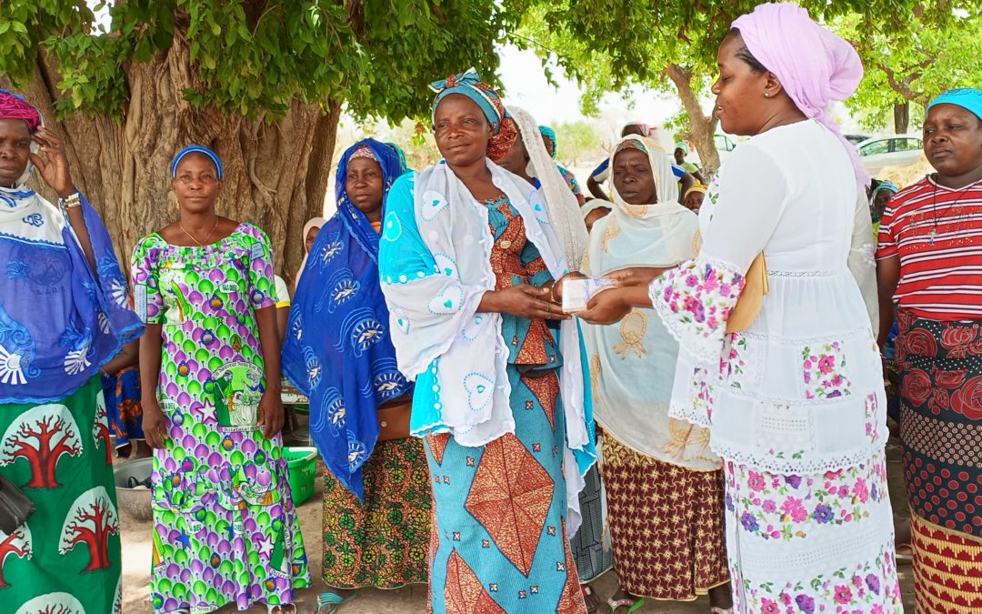 Lumière Synergie pour le Développement (LSD), ONG de veille citoyenne sénégalaise, en collaboration avec l’AFEMIB renforce la résilience économique des femmes du village de Gonsin, commune de Sourougbila.