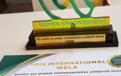 LES MERITES DE L’AFEMIB RECONNUES A ABIDJAN